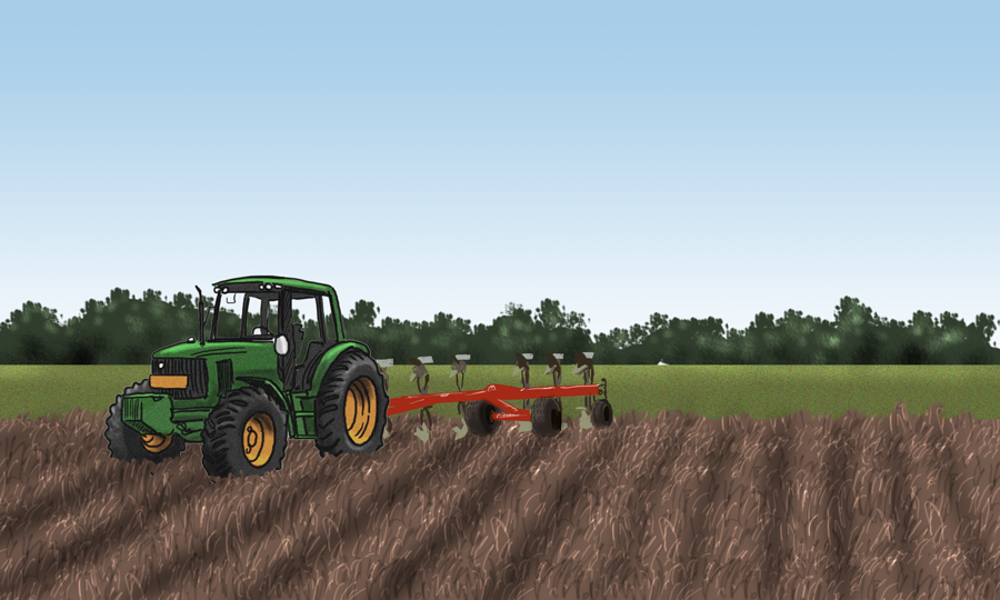 campo produce
