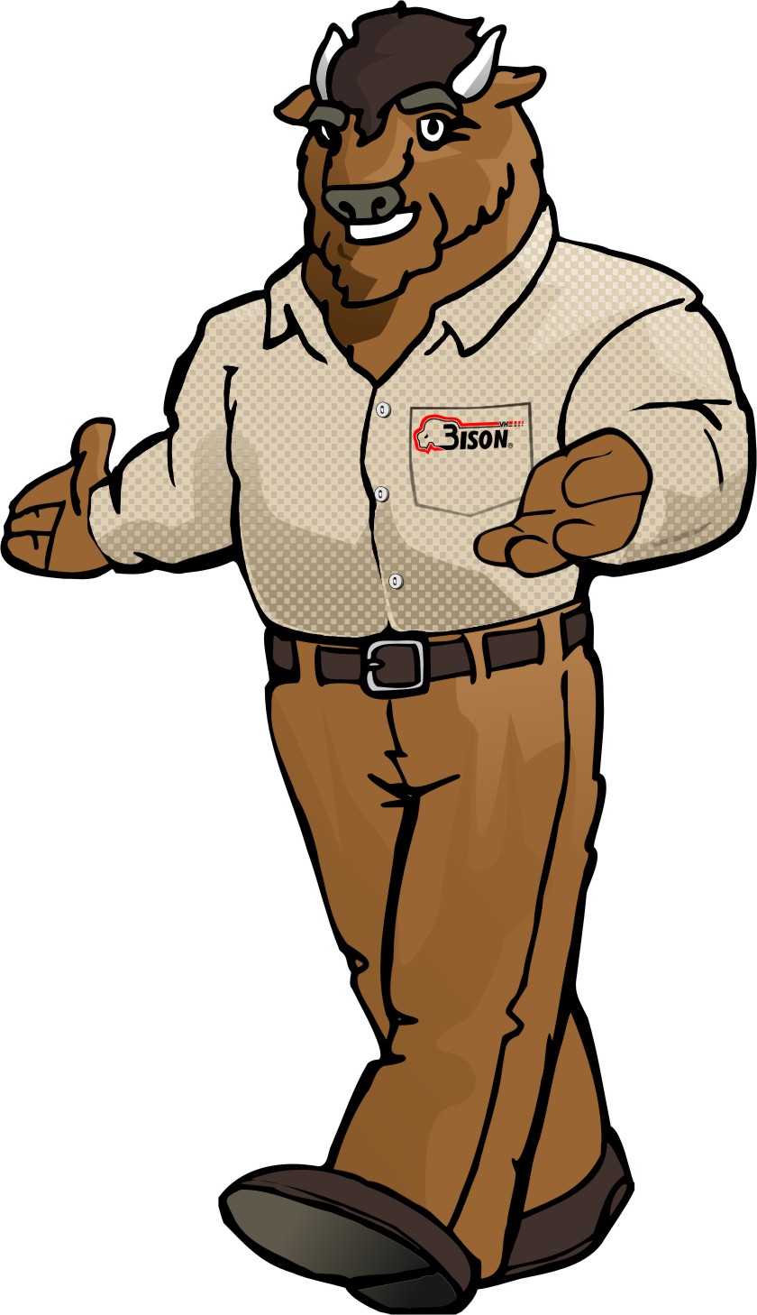 Bison
