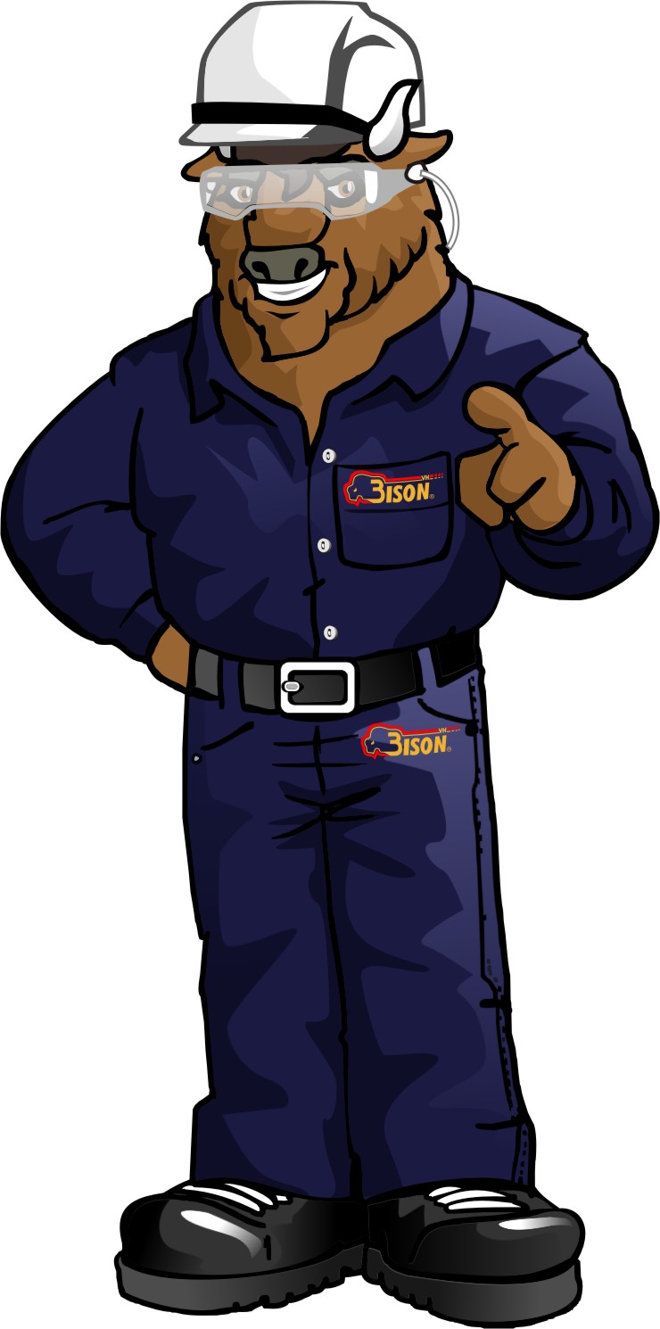 Bison