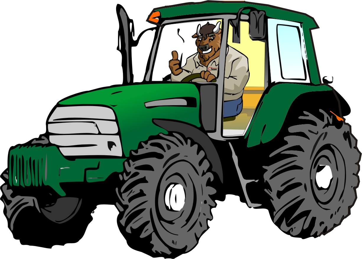 Bison