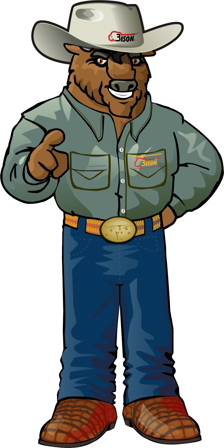 Bison